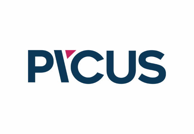 Picus Security Corporate Logo